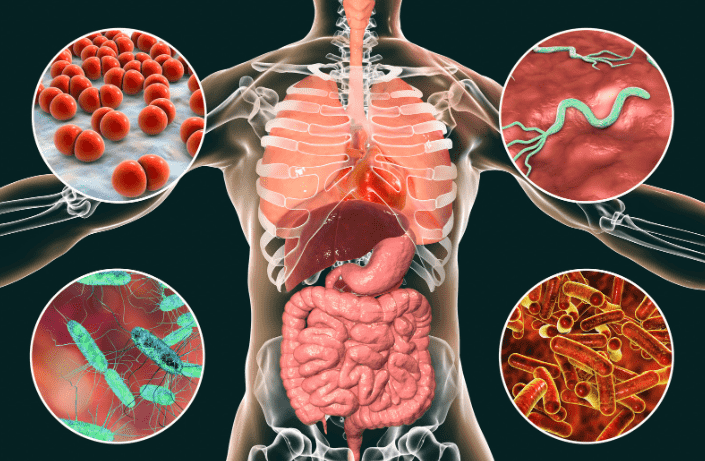 wellhealthorganic.com/digestive-key-indicators-of-gastroenteritis-that-you-shouldnt-ignore