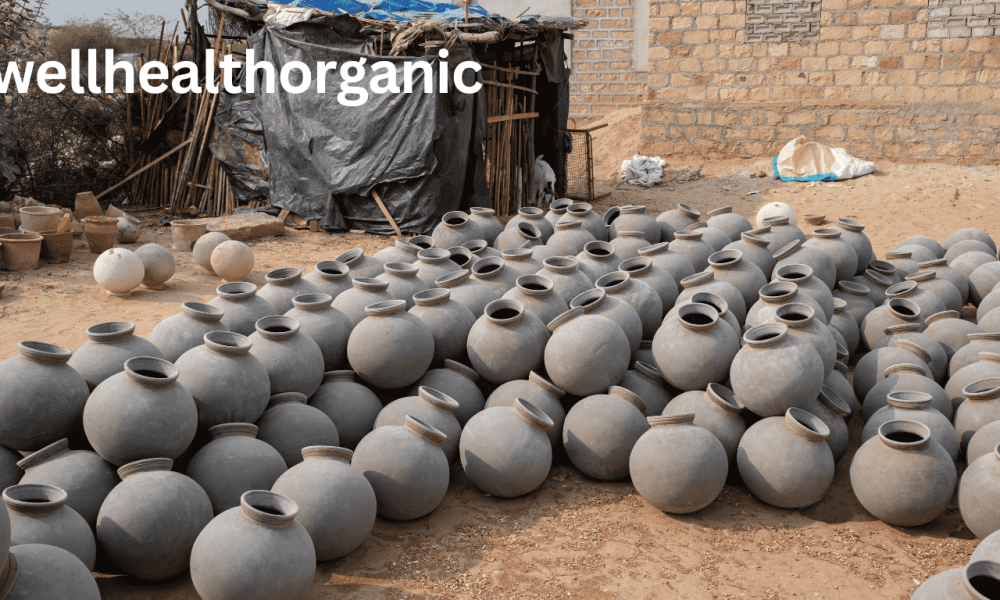 Wellhealthorganic.com/clay-pots-matka-awesome-health-benefits-of-drinking-water-from-clay-pots-matka