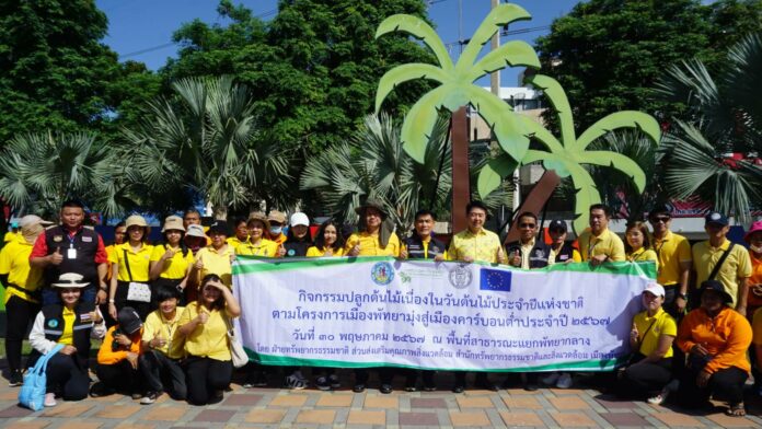 Pattaya-Mayor-Plants-Yellow-Star-Trees-to-Celebrate-Thailands-National-Tree-